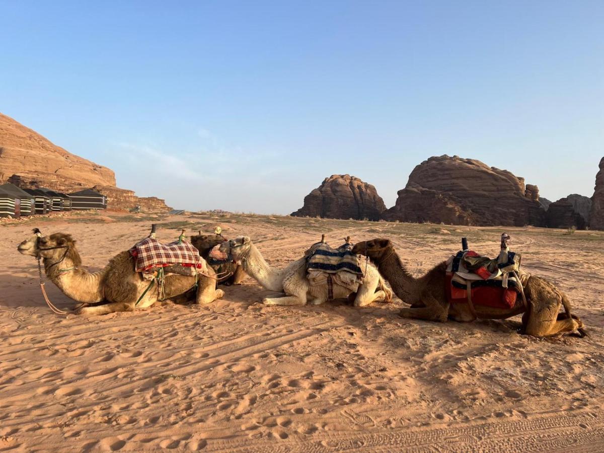 فندق مبيت وإفطار Beduin Star Trail Camp وادي رم