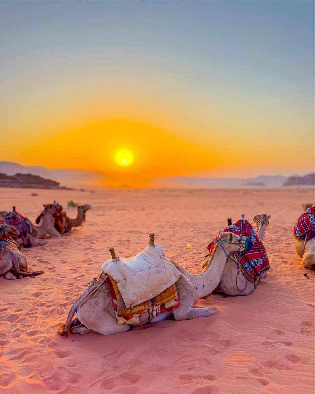 فندق مبيت وإفطار Beduin Star Trail Camp *